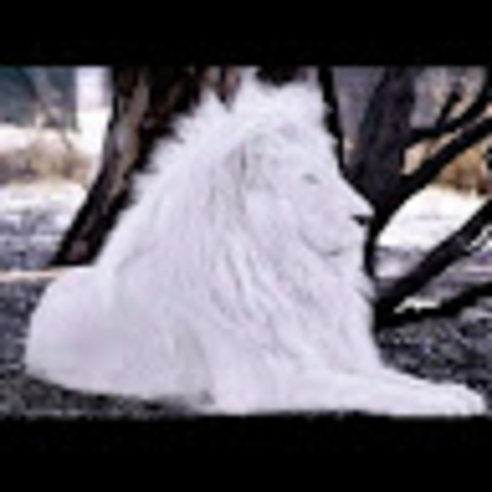 Meet your Posher, Ion